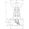Rayon heating patent valve Series: 12.076 Type: 2430 Cast iron Internal thread (BSPP) PN16